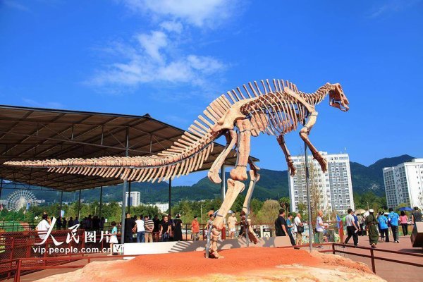 联丰配资 重庆：恐龙遗址公园迎来参观潮